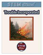 Trouble Incorporated Brochure's Thumbnail
